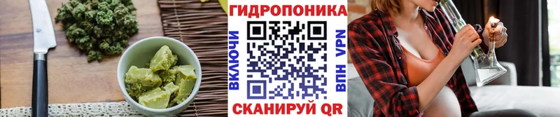 цены наркотик  Тулун  Cannafood конопля 