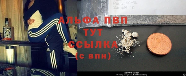 ГАЛЛЮЦИНОГЕННЫЕ ГРИБЫ Надым
