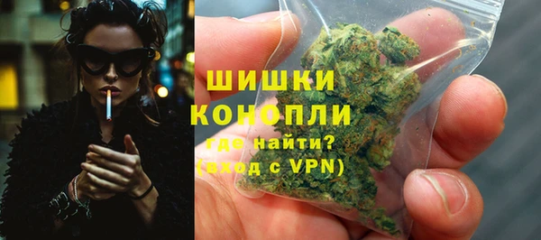 сатива Михайловск
