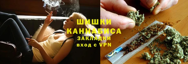 ГАЛЛЮЦИНОГЕННЫЕ ГРИБЫ Надым