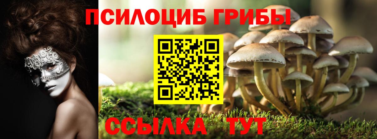 Галлюциногенные грибы ЛСД Тулун